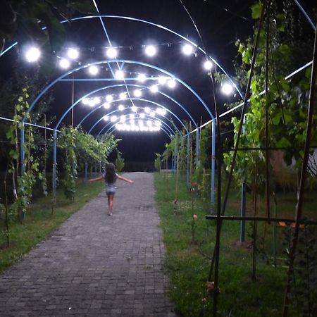 Villa "Zepuri" Dushet'i Esterno foto
