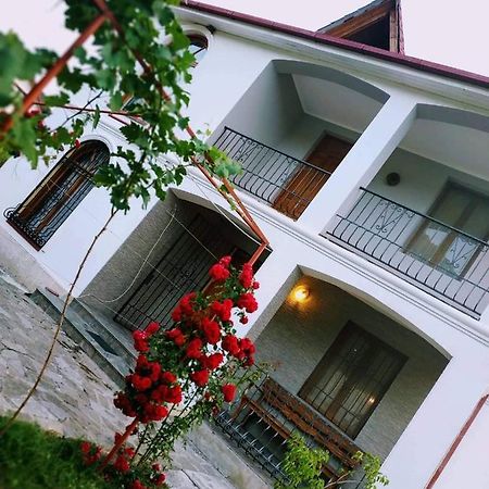 Villa "Zepuri" Dushet'i Esterno foto