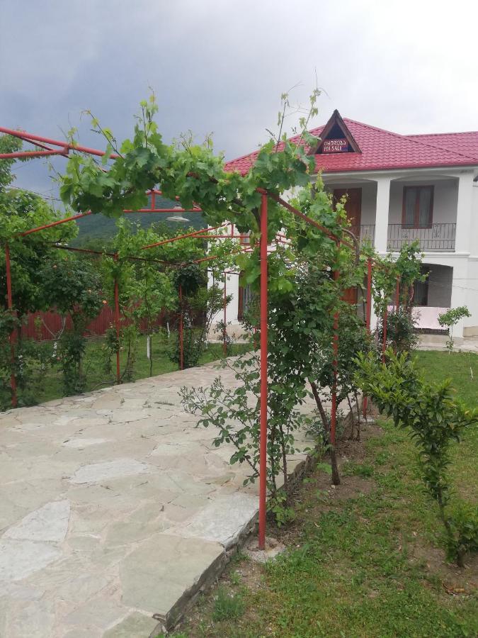 Villa "Zepuri" Dushet'i Esterno foto