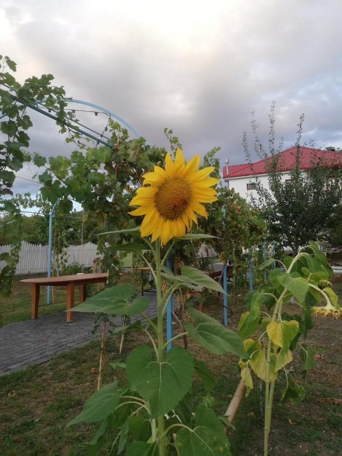 Villa "Zepuri" Dushet'i Esterno foto