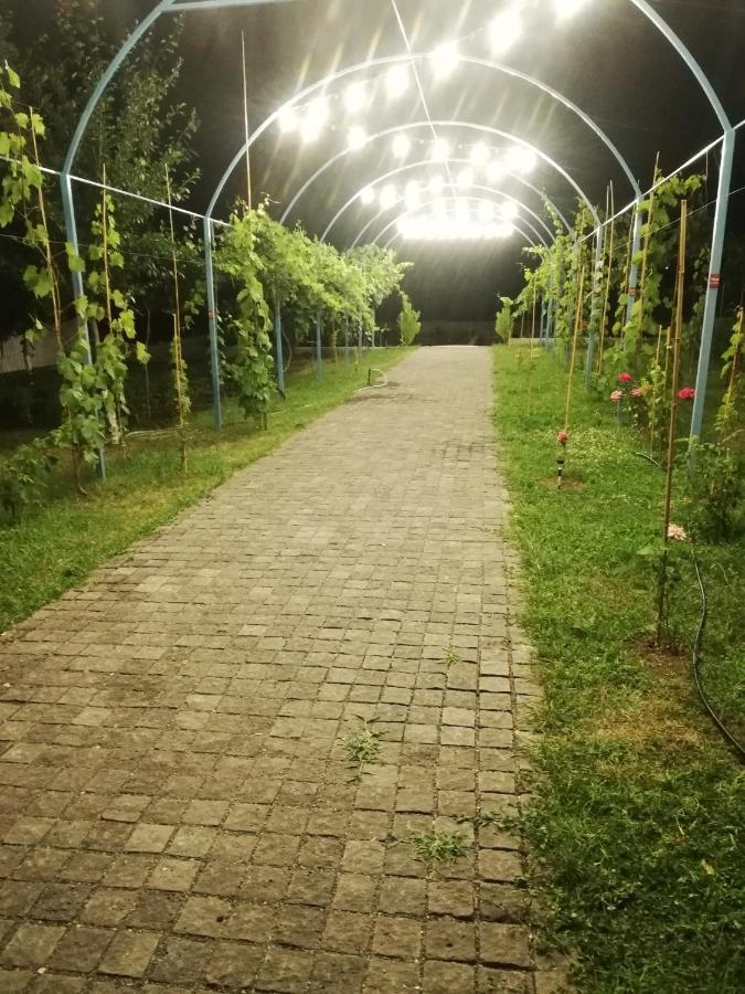 Villa "Zepuri" Dushet'i Esterno foto