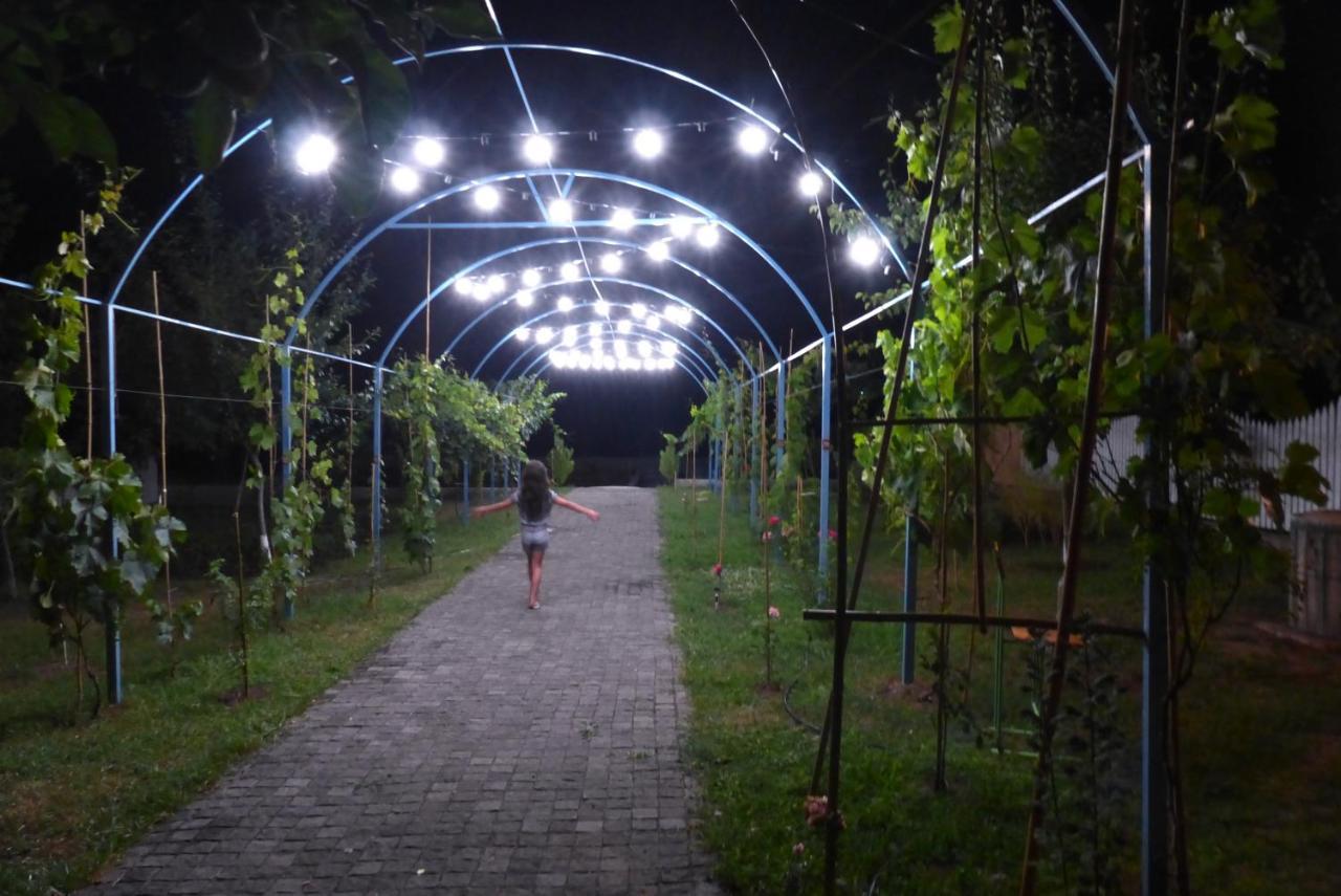 Villa "Zepuri" Dushet'i Esterno foto
