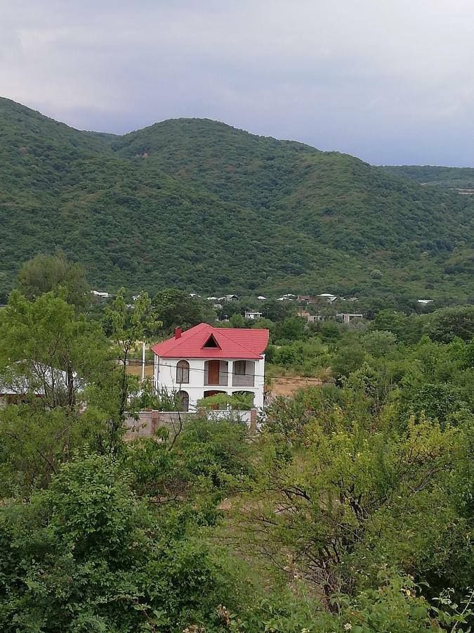 Villa "Zepuri" Dushet'i Esterno foto